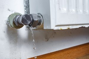 Emergency Plumber Water Leaks
